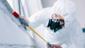 Trusted Middleport, NY Pest Control Experts